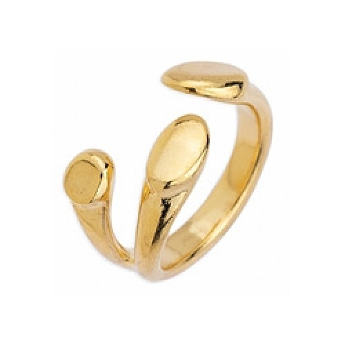 Δαχτυλίδι 22,6 x 12 mm κλαδιά δέντρου 17mm επίχρυσο